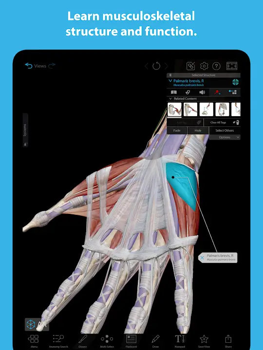 Human Anatomy Atlas 2023 MOD APK